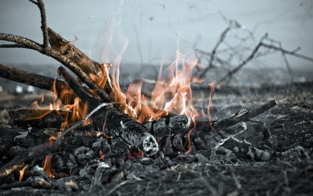 Fire field sky grass trees free wallpaper - medium preview image