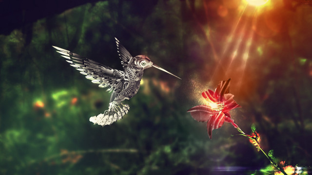Hummingbird flower bright background sun free wallpaper - medium preview image