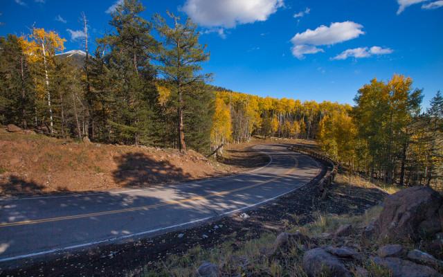 Curved road forest mountain autumn free wallpaper - medium preview image