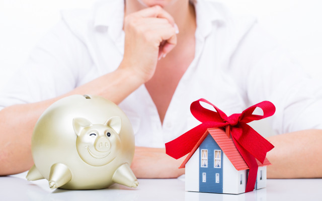 Woman piggy bank house model free wallpaper - medium preview image