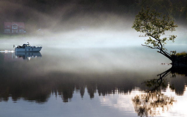 Lake tree house foggy magic #2 free wallpaper - medium preview image