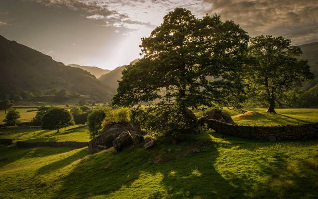 Tree field mountains sunbeam clouds free wallpaper - medium preview image