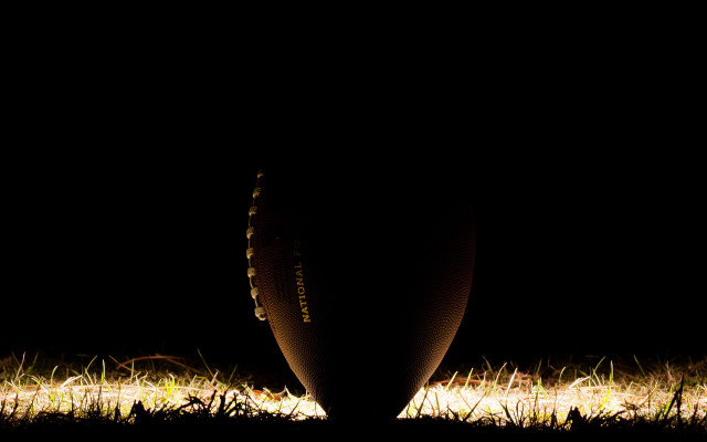 Dark vase grass night backlighting free wallpaper - medium preview image