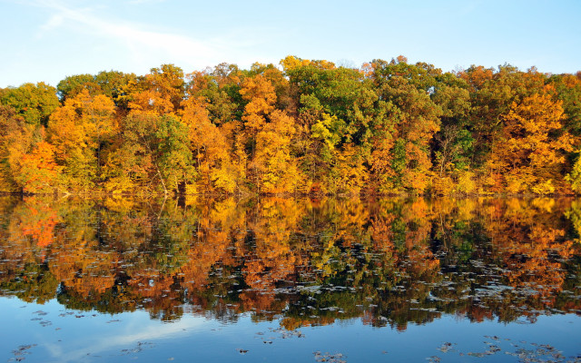 Autumn lake trees leaves clouds free wallpaper - medium preview image