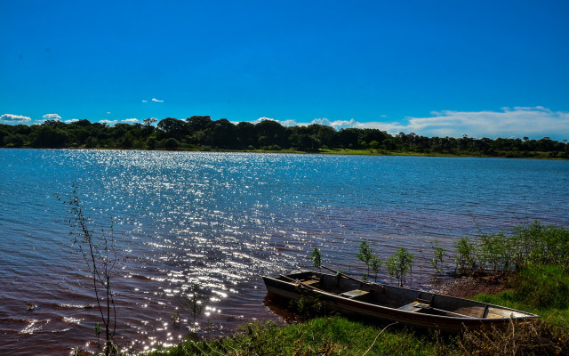 Lake shore ecological art bridge free wallpaper - medium preview image