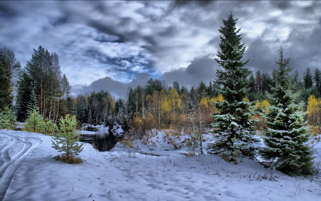 Snowy landscape trees river cloudy free wallpaper - medium preview image