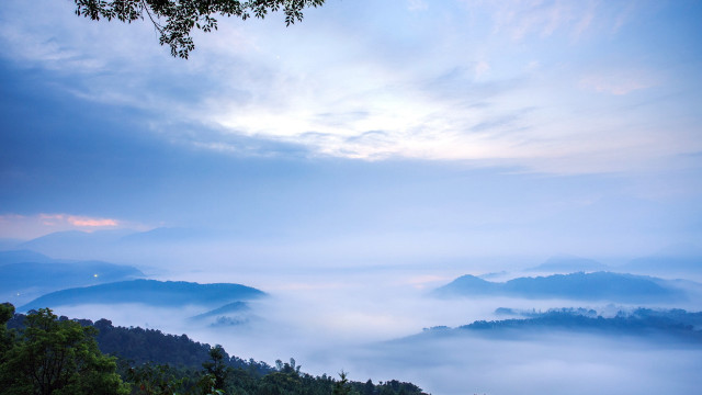 Mountain range foggy sky trees free wallpaper - medium preview image