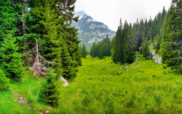 Grassy field trees mountains cloudy #2 free wallpaper - medium preview image