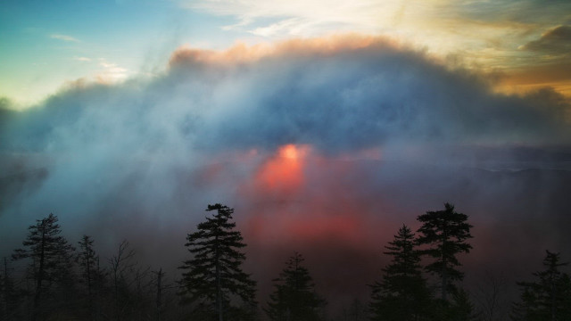 Sunset forest clouds mountains mist free wallpaper - medium preview image