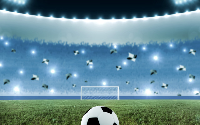 Soccer ball stadium birds light free wallpaper - medium preview image