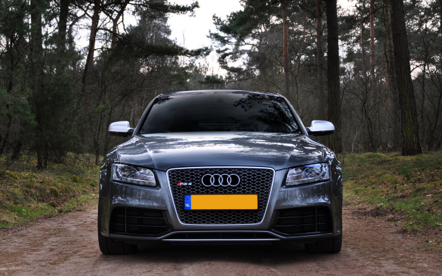 Car dirtroad woods yellowplate matte free wallpaper - medium preview image
