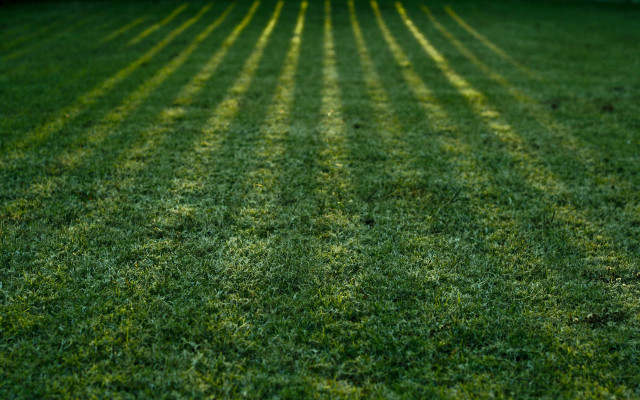 Green lawn tiltshift tree house free wallpaper - medium preview image