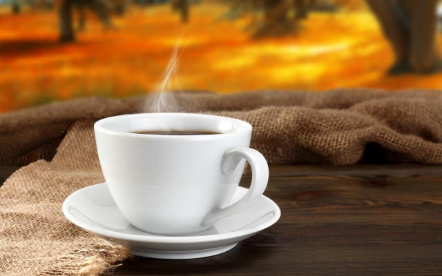 Coffee saucer table blanket tree free wallpaper - medium preview image