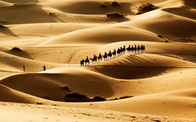 Desert horses sunset sky shadow free wallpaper - medium preview image