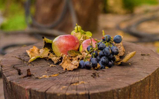 Wooden stump fruit leaves still free wallpaper - medium preview image