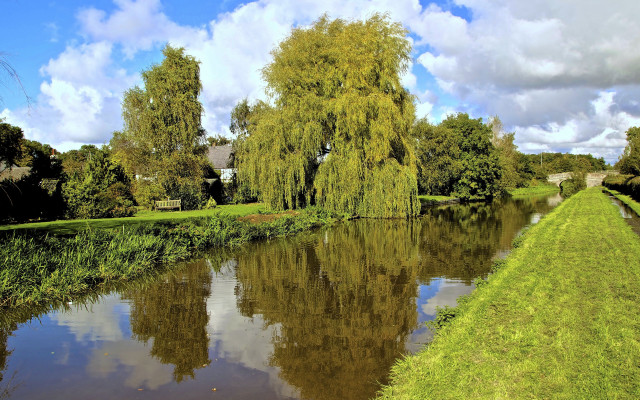 River trees grassy bank house #2 free wallpaper - medium preview image