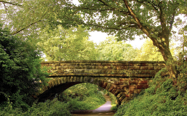Stone bridge stream park trees free wallpaper - medium preview image