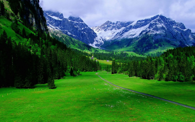 Green field road mountains snow free wallpaper for desktop - medium preview image