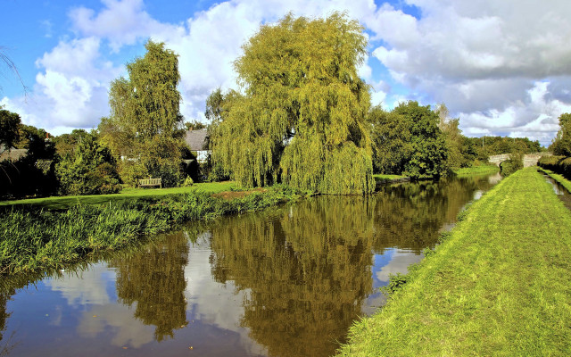 River grassy bank trees cloudy free wallpaper - medium preview image