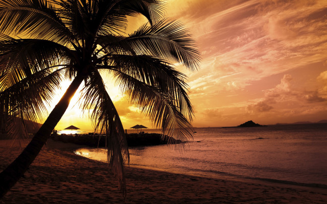 Palm beach sunset island boat free wallpaper - medium preview image