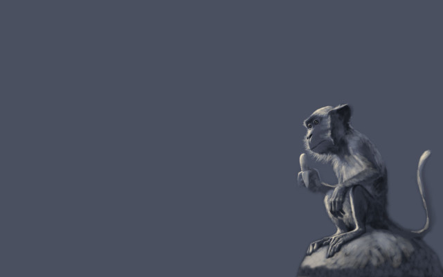 Monkey rock blue sky naturalism free wallpaper - medium preview image