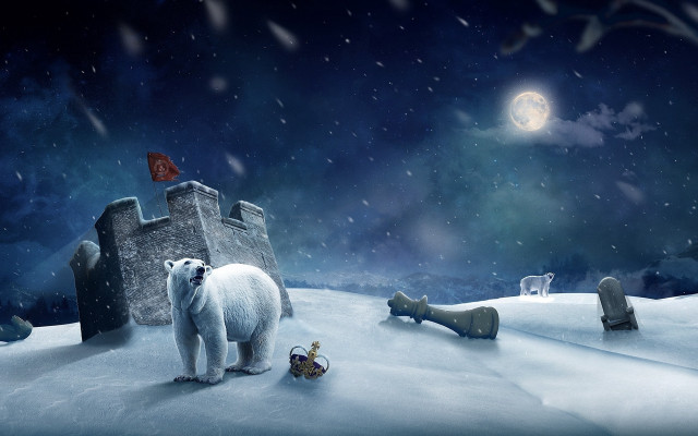 Polar bear castle toy soldier free wallpaper - medium preview image