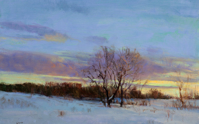 Snowy landscape trees sunset clouds #8 free wallpaper - medium preview image