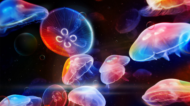 Jellyfish bubbles holography biolu­minescence planet free wallpaper - medium preview image