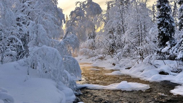 Snowy forest stream mountains bare free wallpaper - medium preview image