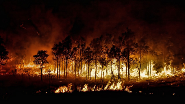 Forest fire night sky autumn free wallpaper - medium preview image
