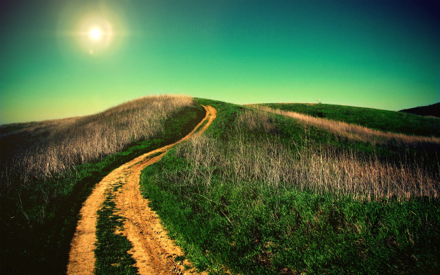Dirt road grassy hill sunlight free wallpaper - medium preview image
