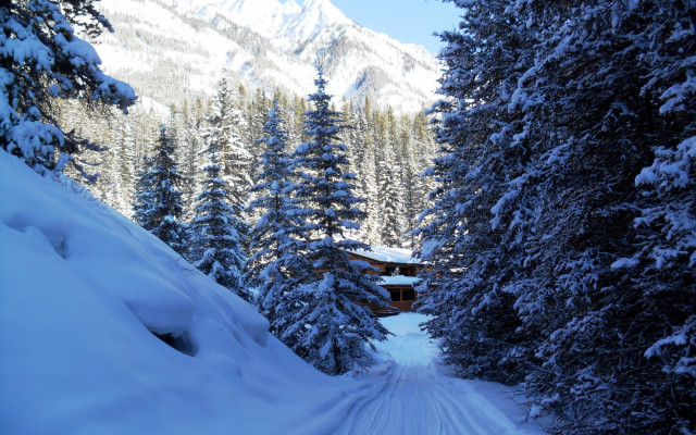 Snow covered road cabin trees free wallpaper - medium preview image