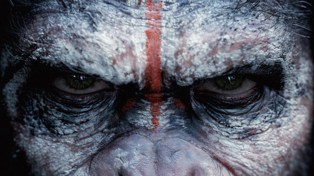 Monkey face red lines primitivism free wallpaper - medium preview image