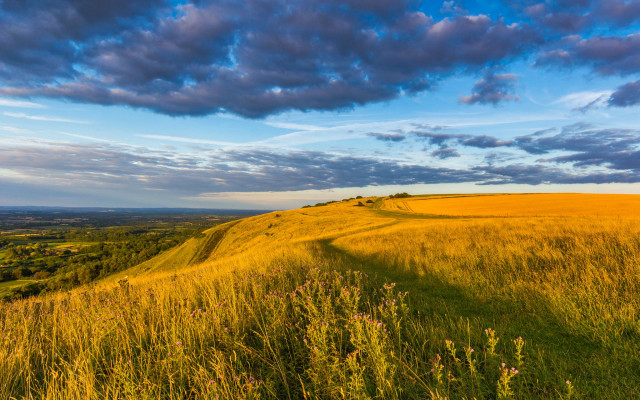 Grassy hill path clouds flowers free wallpaper - medium preview image