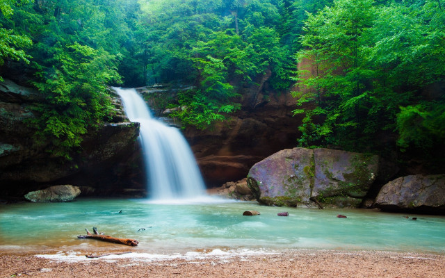 Waterfall forest fallen tree man free wallpaper - medium preview image