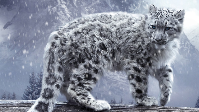 Snow leopard log snow mountain free wallpaper - medium preview image