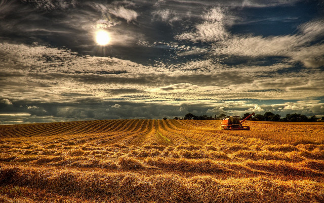 Tractor hayfield cloudy sky sunshine free wallpaper - medium preview image