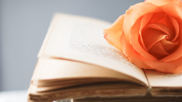 Rose book open pages bookmark free wallpaper - medium preview image