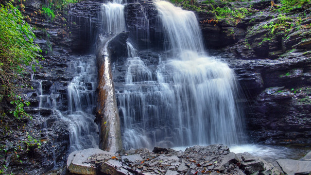 Waterfall woods log fallen tree free wallpaper - medium preview image