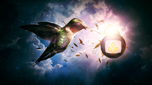 Hummingbird lantern star night sky free wallpaper - medium preview image