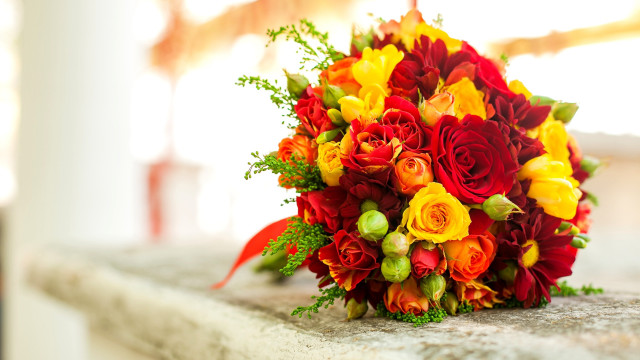 Bouquet flowers outside window sunlight free wallpaper - medium preview image