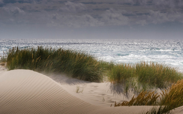 Grassy water sand dunes cloudy free wallpaper - medium preview image