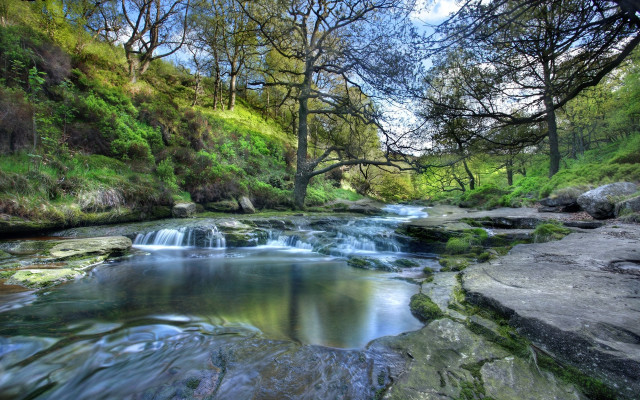Lush forest stream waterfall nature #5 free wallpaper - medium preview image