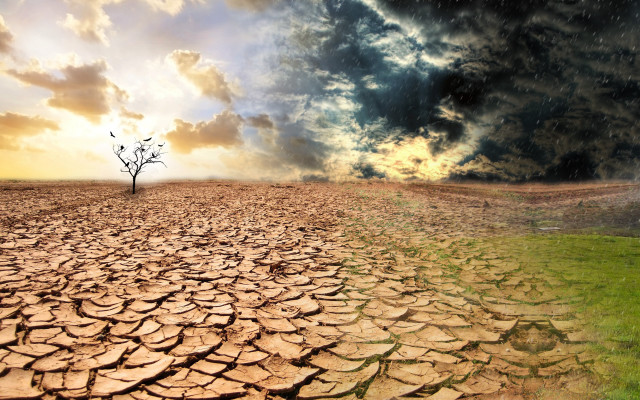 Desert tree cloudy sky cracked free wallpaper - medium preview image