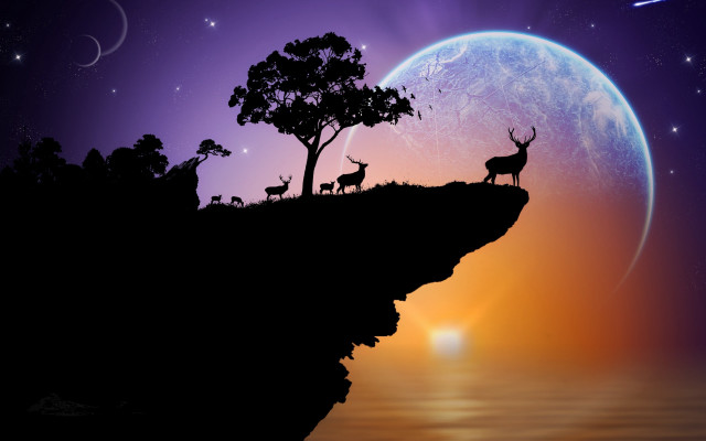Deer silhouette night fullmoon magicrealism free wallpaper - medium preview image