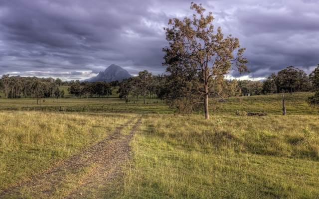 Dirt road field tree mountain free wallpaper - medium preview image