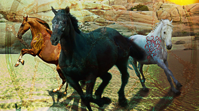 Horses running field rocky hillside free wallpaper - medium preview image