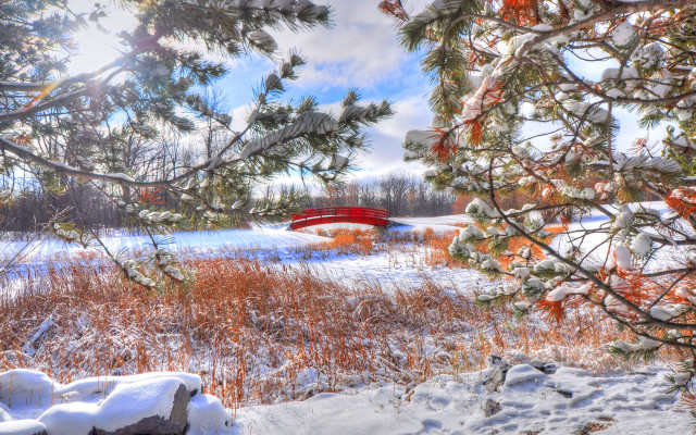 Red bridge snowy field autumn free wallpaper - medium preview image