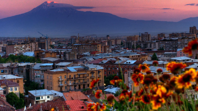 City mountain flowers foreground pink free wallpaper - medium preview image