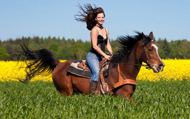Woman horse field flower sky free wallpaper - medium preview image